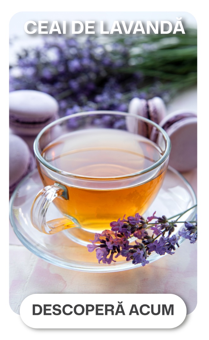 Lavanda
